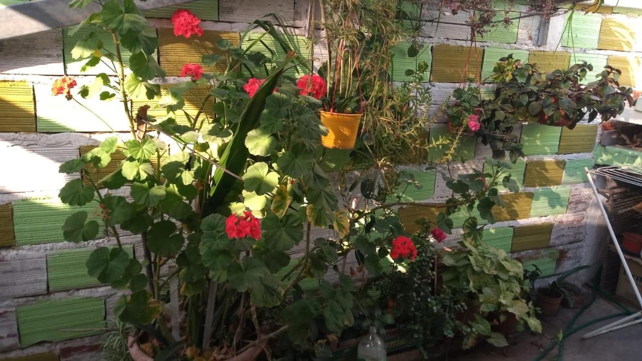 Apartment Naiguata *